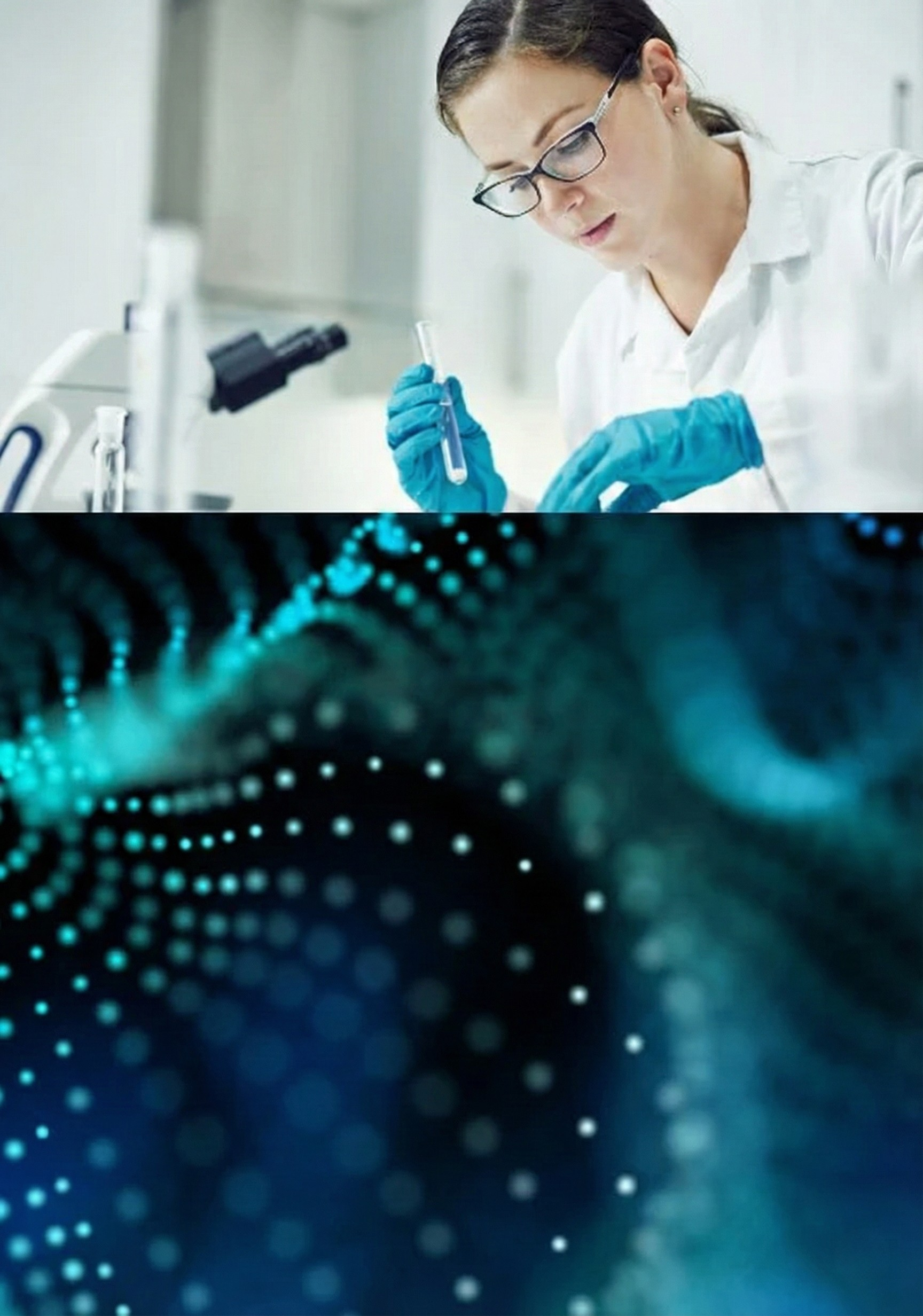 First slide description