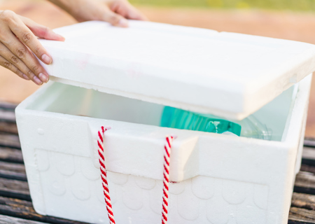 Temperature sensitive courier services