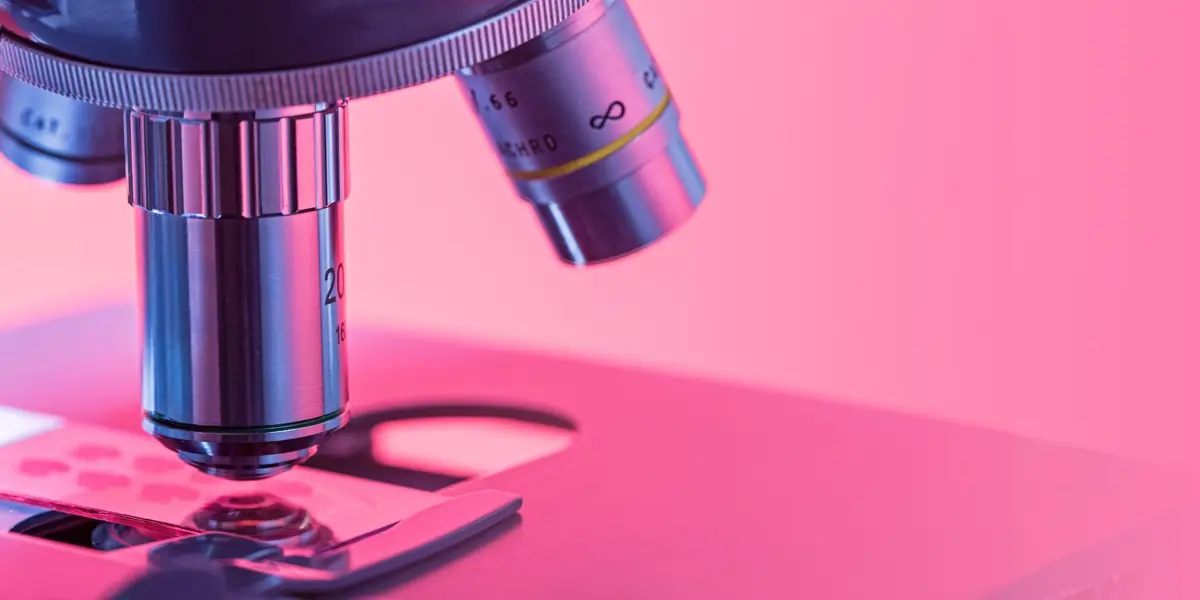 The Anatomy of an FRO: A New Model for Research That Benefits Everyone 