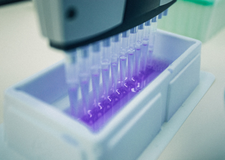 Pipette and balance calibration